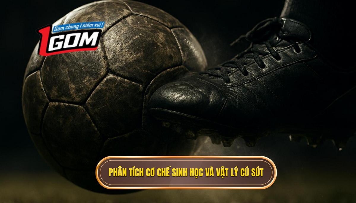 Làm Chủ Kỹ thuật Sút Bóng Bằng Gót Chân Trái: Góc Nhìn Chuyên Gia Từ 1GOM 1 Phân tích Cơ chế Sinh học và Vật lý học của Cú sút Gót